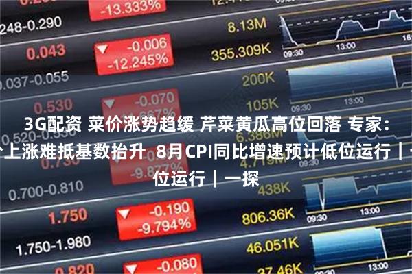 3G配资 菜价涨势趋缓 芹菜黄瓜高位回落 专家：菜价上涨难抵基数抬升  8月CPI同比增速预计低位运行｜一探