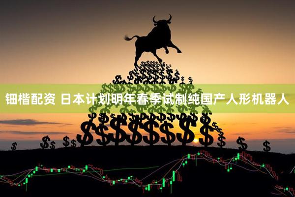 钿楷配资 日本计划明年春季试制纯国产人形机器人