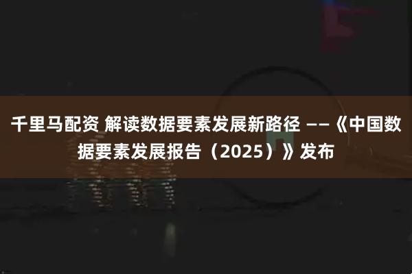 千里马配资 解读数据要素发展新路径 ——《中国数据要素发展报告（2025）》发布